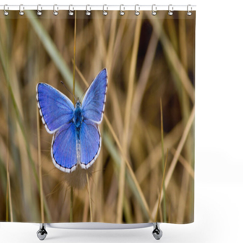 Personality  Blue Butterfly Shower Curtains