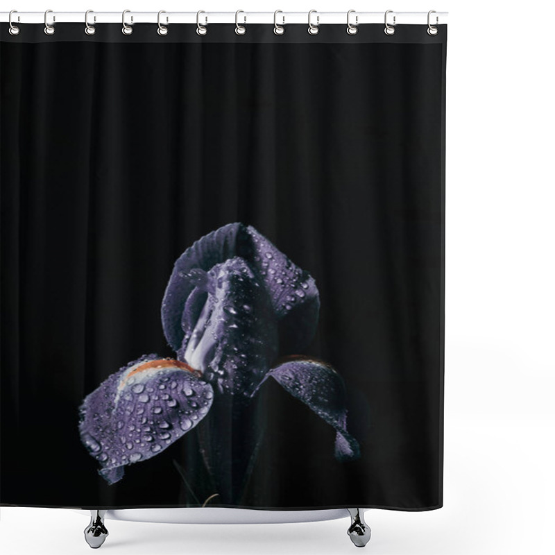 Personality  Iris Flower On Black Background. Drops Of Water On A Purple Flower. Shower Curtains