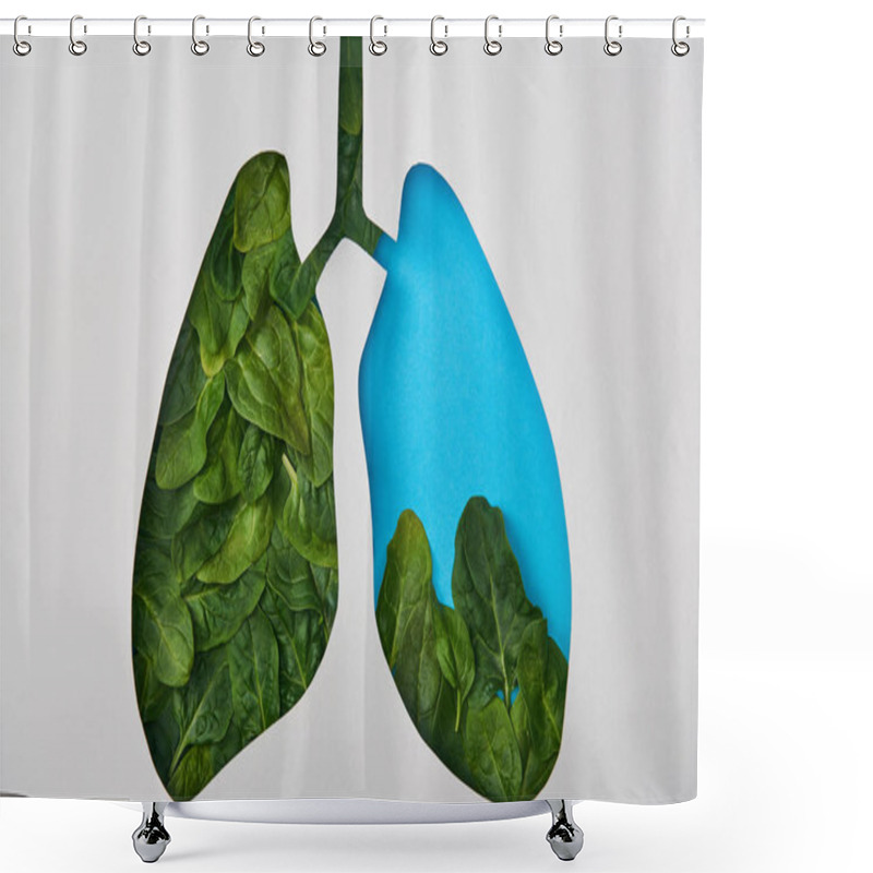 Personality  Top View Of Blue Lungs Model With Leaves Isolated On White Shower Curtains