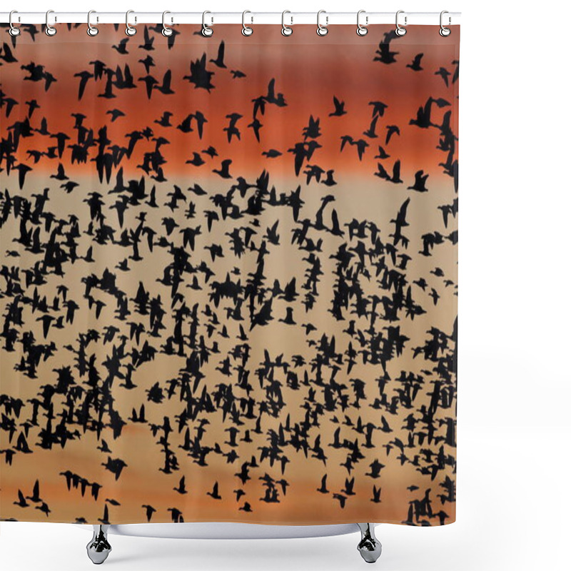 Personality  Snow Geese In The Dawn, Bosque Del Apache, New Mexico USA Shower Curtains