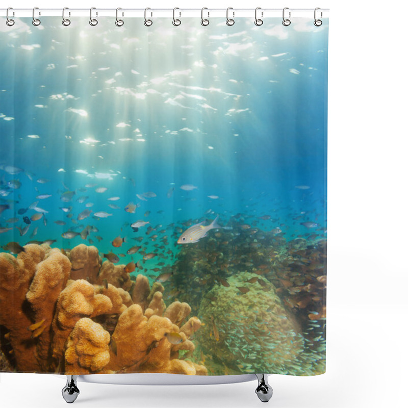 Personality  Exciting Underwater Panorama Shower Curtains