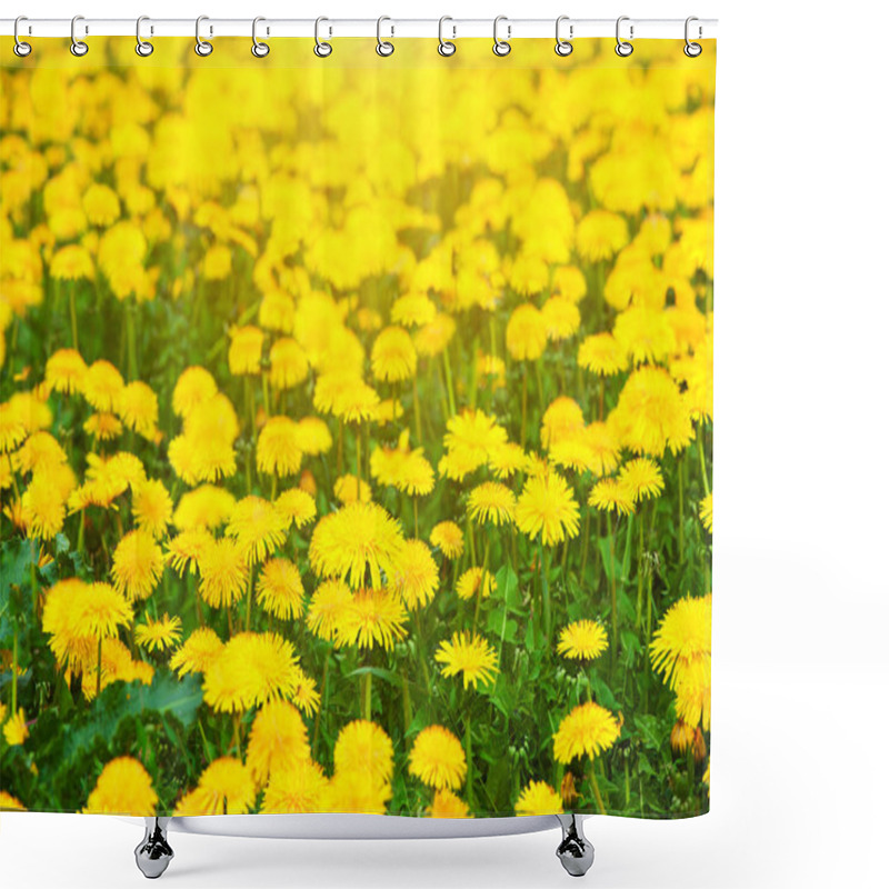 Personality  Yellow Dandelion Field Shower Curtains