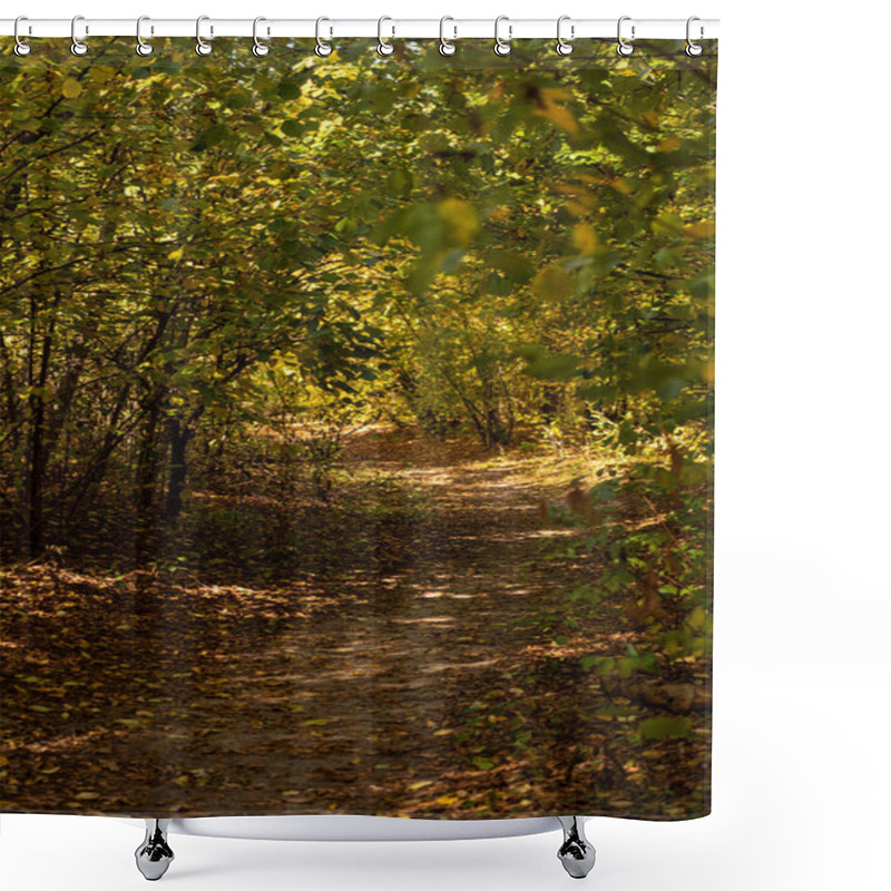 Personality  Picturesque Autumnal Forest With Golden Foliage And Path In Sunlight Shower Curtains