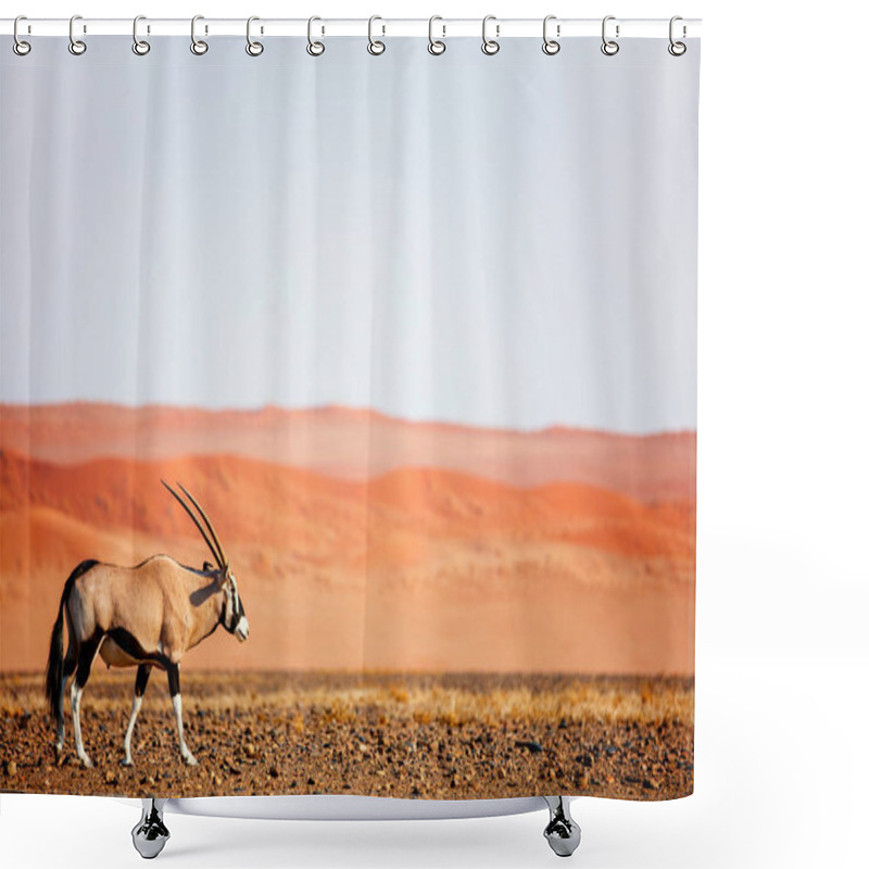 Personality  Oryx Antelope Walking Against Red Sand Dunes Of Sossusvlei In Namib Desert Namibia Shower Curtains