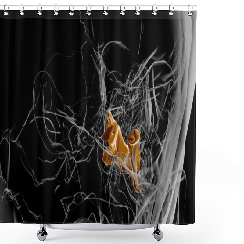 Personality  Human Skeleton Palatine Bone Anatomy 3D Illustration Shower Curtains