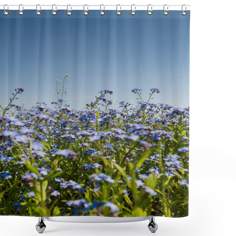 Personality  Blue Spring Flowers Shower Curtains