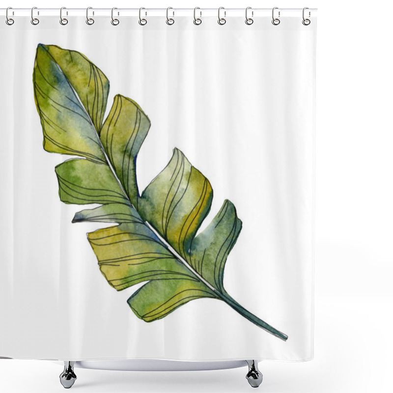 Personality  Green Leaf Plant Botanical Garden Floral Foliage. Exotic Tropical Hawaiian Summer. Watercolor Background Illustration Set. Watercolour Drawing Fashion Aquarelle. Isolated Leaf Illustration Element. Shower Curtains