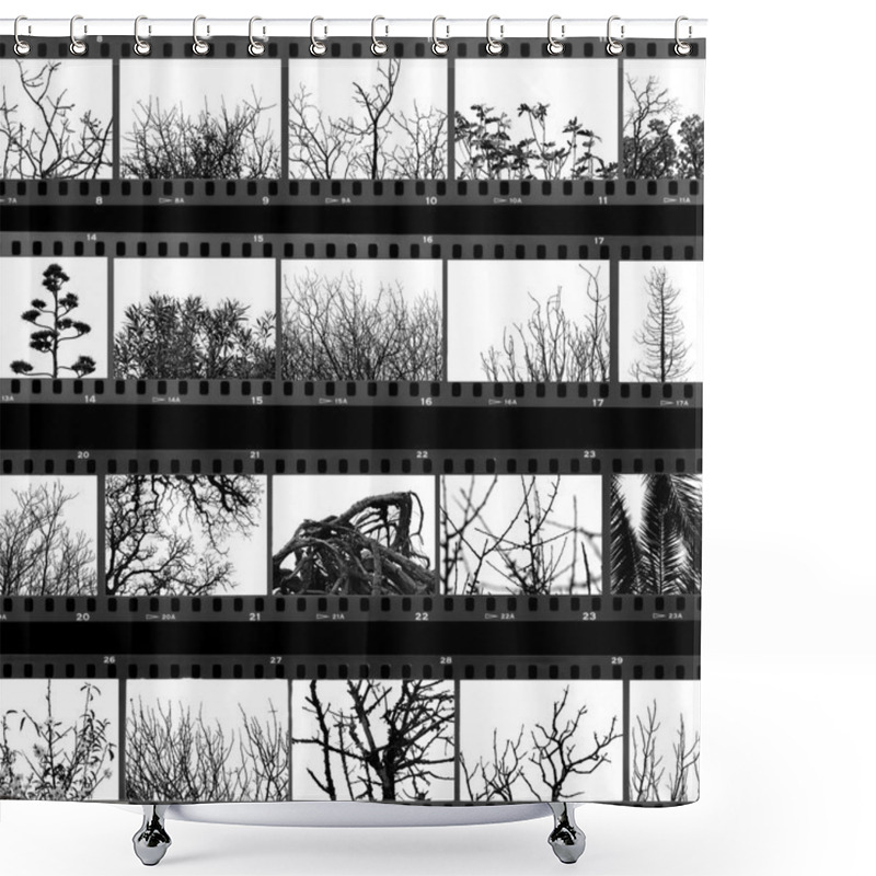 Personality  Trees And Plants Film Proof Sheet Shower Curtains