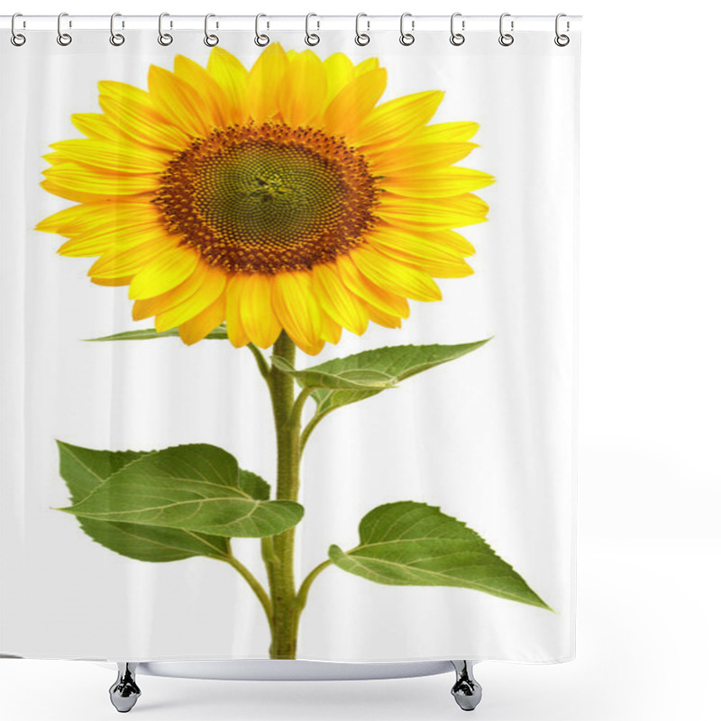 Personality  Sunflower Shower Curtains