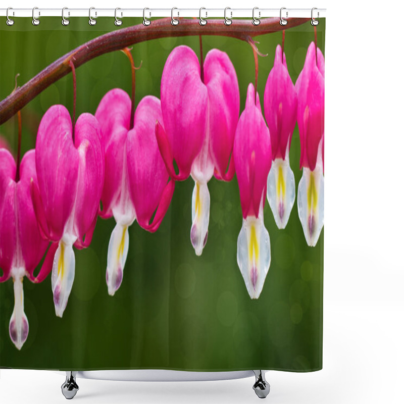 Personality  Bleeding Hearts Shower Curtains