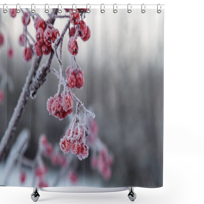 Personality  Snow-covered Mountain Ash In Early Winter. Shower Curtains