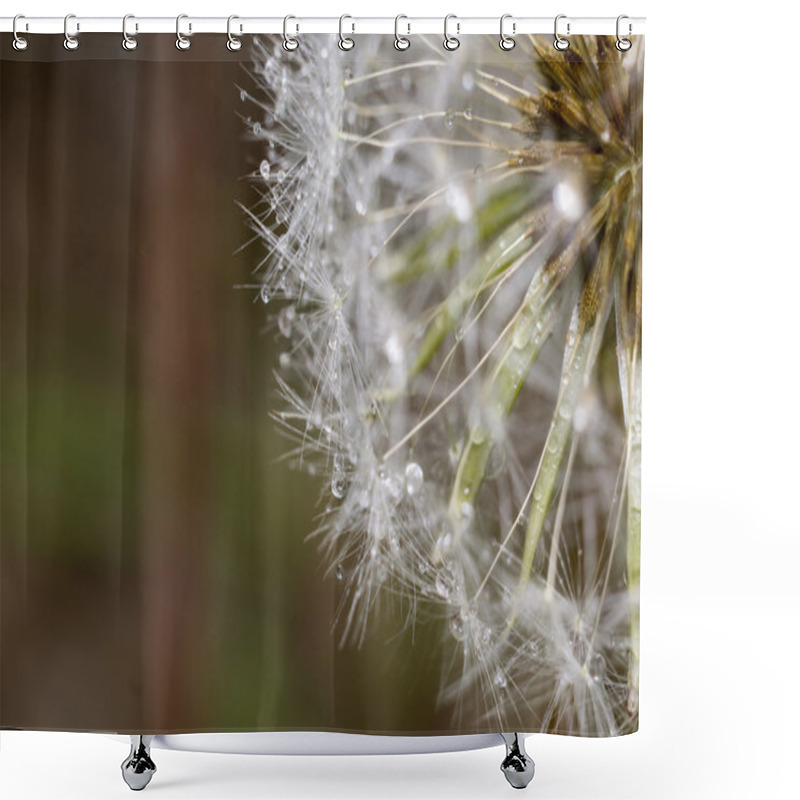 Personality  Dandelion With Water Drops Shower Curtains