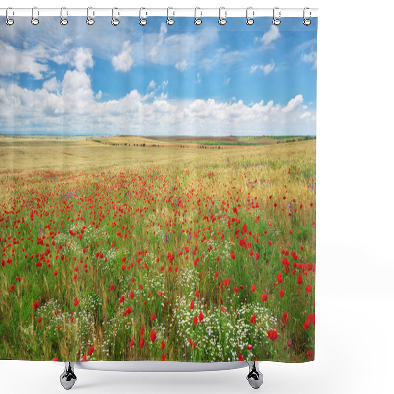 Personality  Meadow Of Wheat And Poppy At Day. Shower Curtains