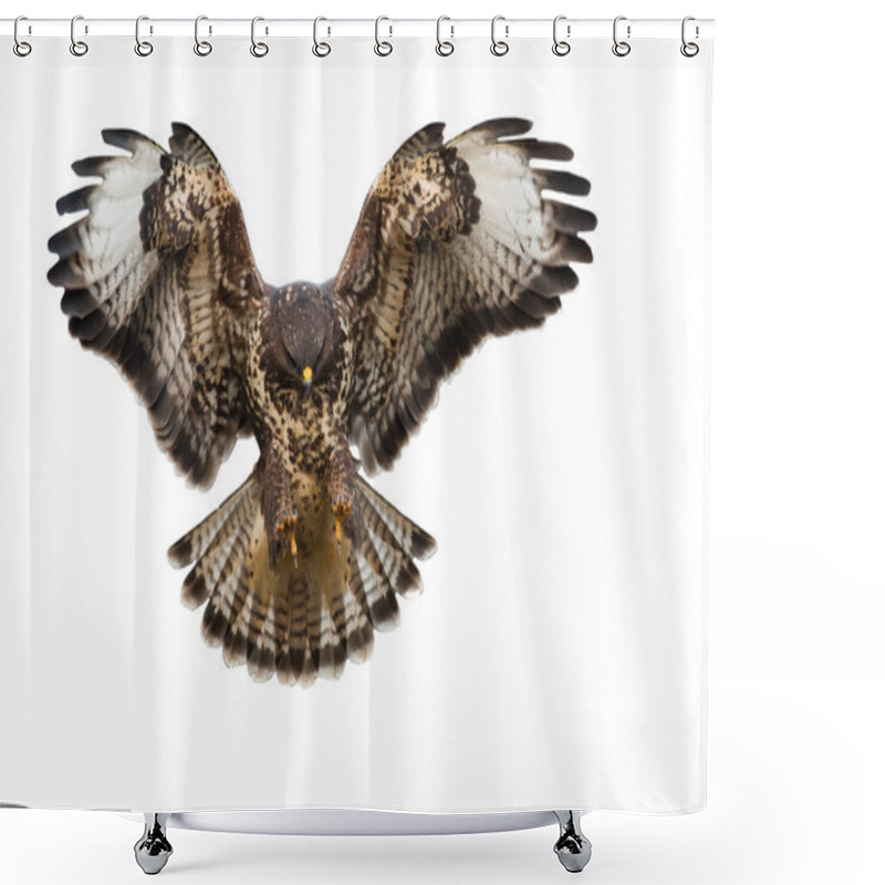 Personality  Front View Of Bird Of Prey Landing Isolated On White Background Shower Curtains