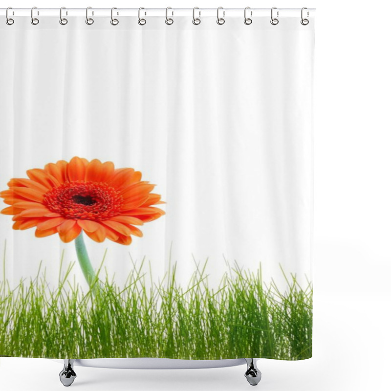 Personality  Isolated Flower Background Shower Curtains