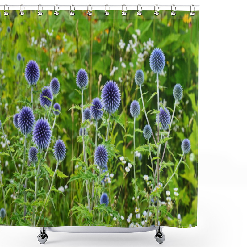 Personality  Globe Thistle Thornbush Flower Head Shower Curtains