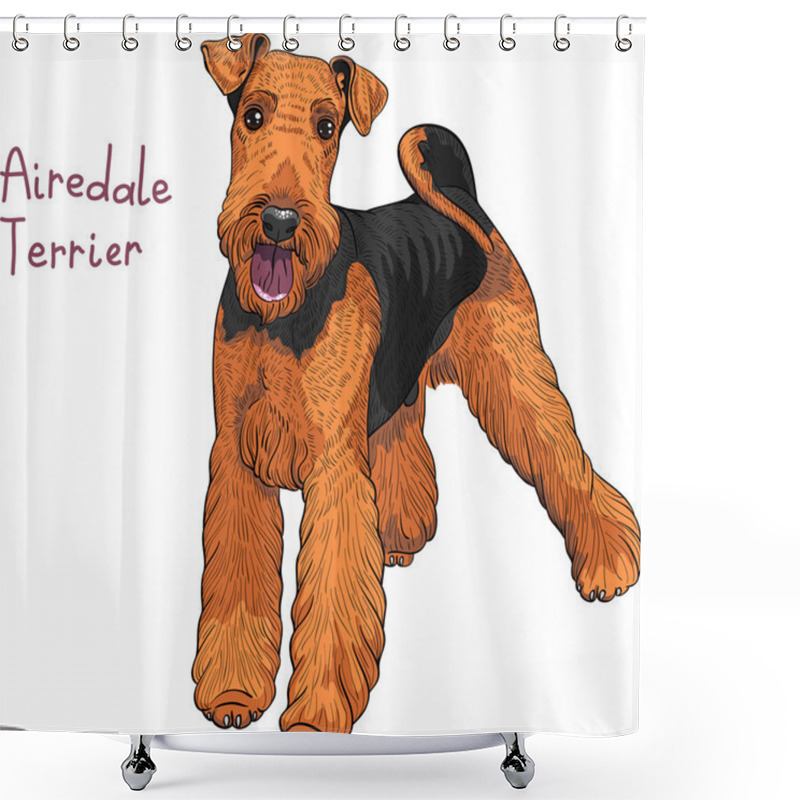 Personality  Vector Sketch Dog Airedale Terrier Breed Shower Curtains