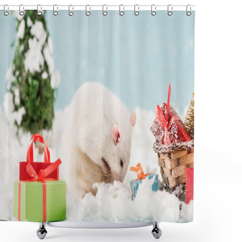 Personality  Rat, Bottle And Wicker Sled With Gift Boxes In New Year  Shower Curtains