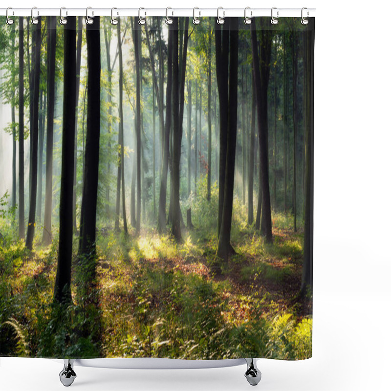 Personality  Beautiful Sunny Morning In Magic Forest Shower Curtains