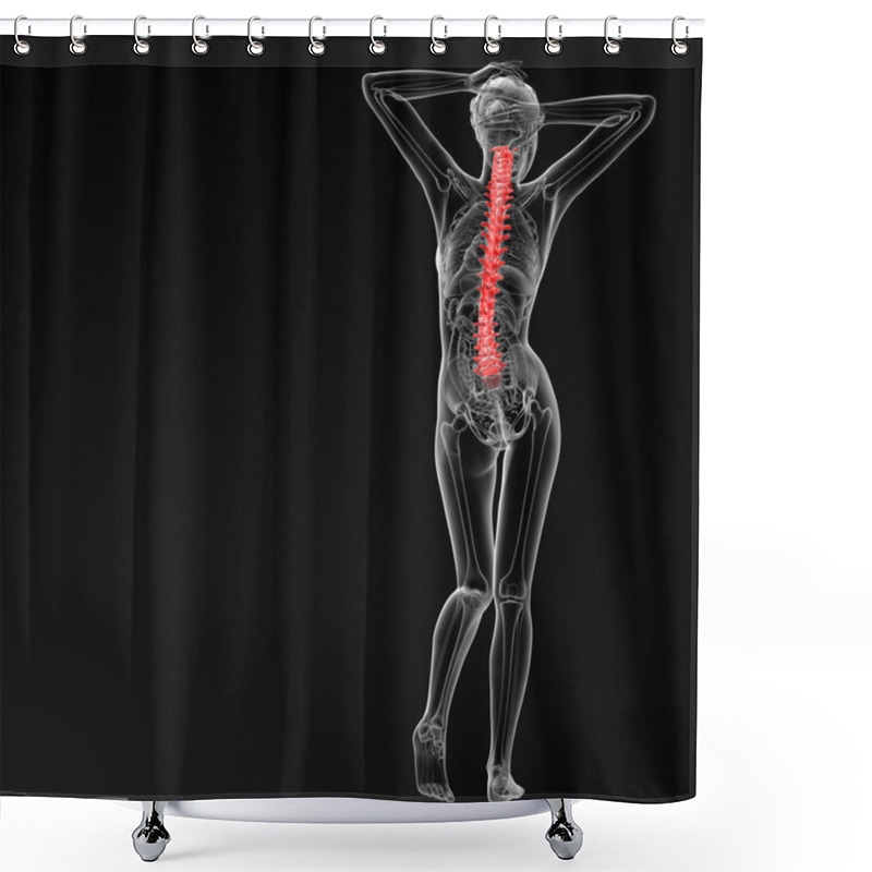 Personality  Vertebral column shower curtains