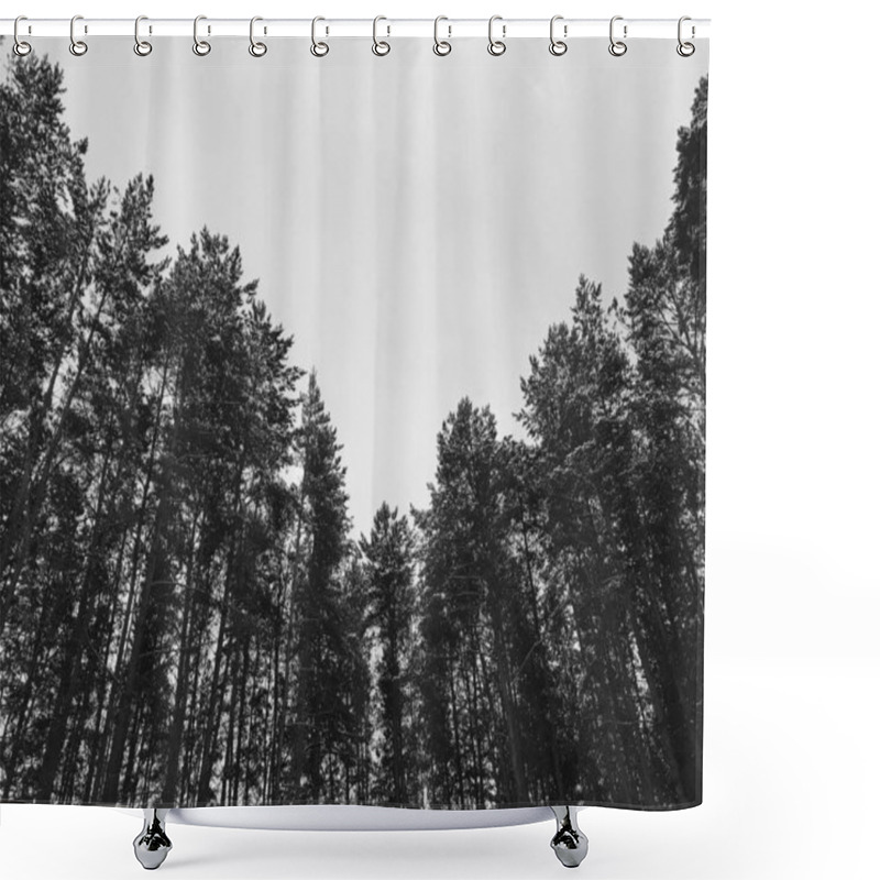 Personality  Dense Night Forest, High Pines View From Below Shower Curtains