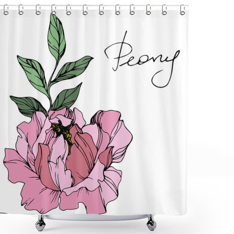 Personality  Vector Pink Peony. Floral Botanical Flower. Engraved Ink Art. Isolated Peony Illustration Element. Shower Curtains