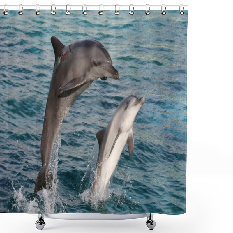 Personality  Dolphin Bow Jump Shower Curtains