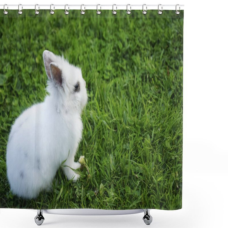 Personality  White Rabbit On Green Grass Background.  Shower Curtains