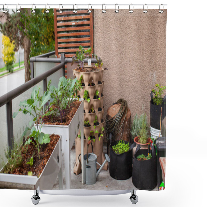 Personality  A Vertical Garden Sits On An Apartment Balcony (patio) With Other Standing Planters And Containers With Fall Plants. Growing Vertically Is Perfect For Small Spaces And Urban Gardening.  Shower Curtains