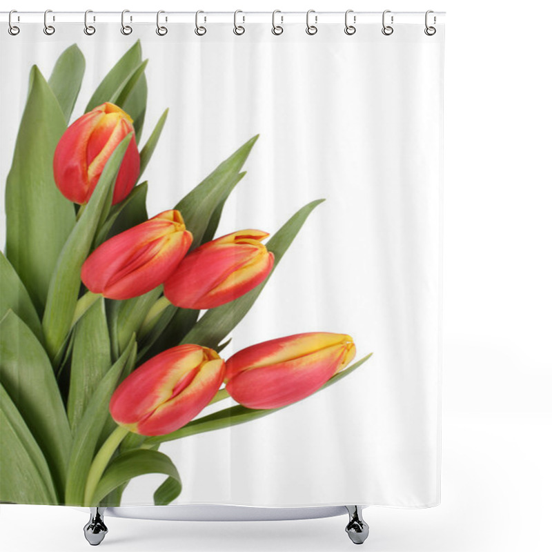 Personality  Tulip Flowers Isolated Shower Curtains