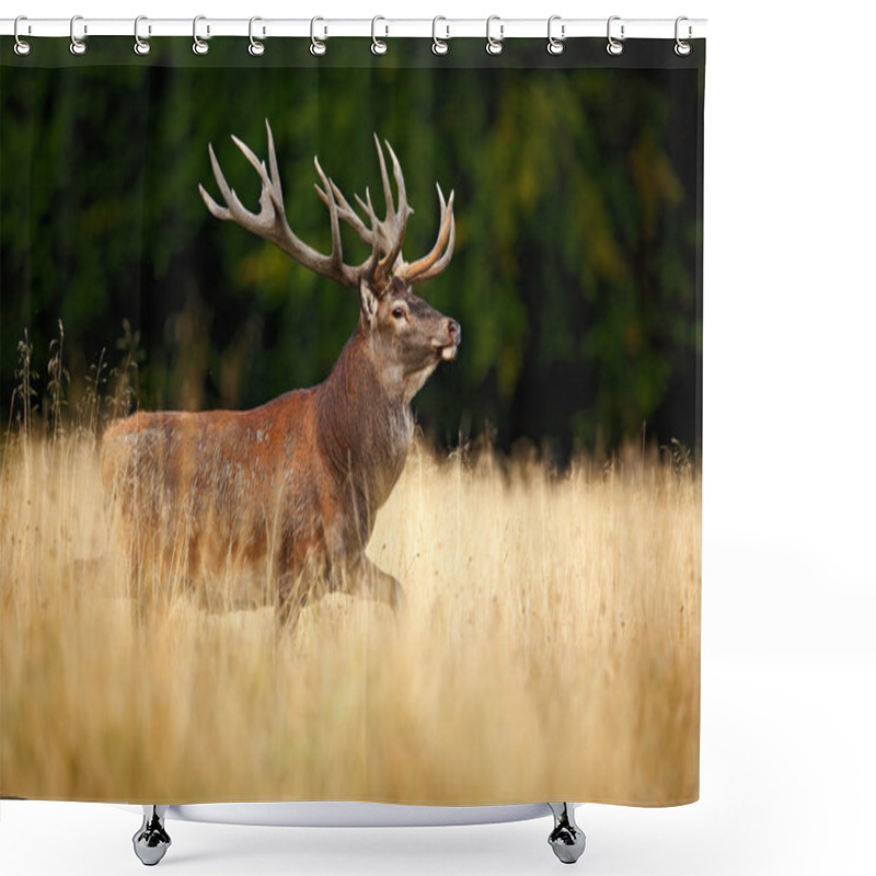 Personality  Powerful Adult Red Deer Shower Curtains