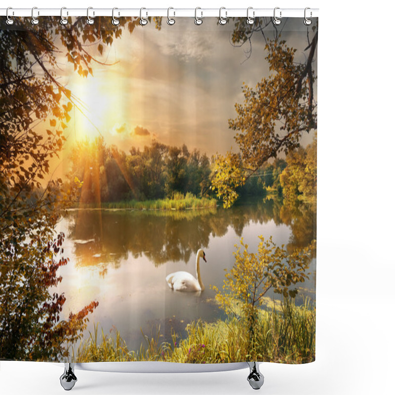 Personality  Swan On The Pond Shower Curtains