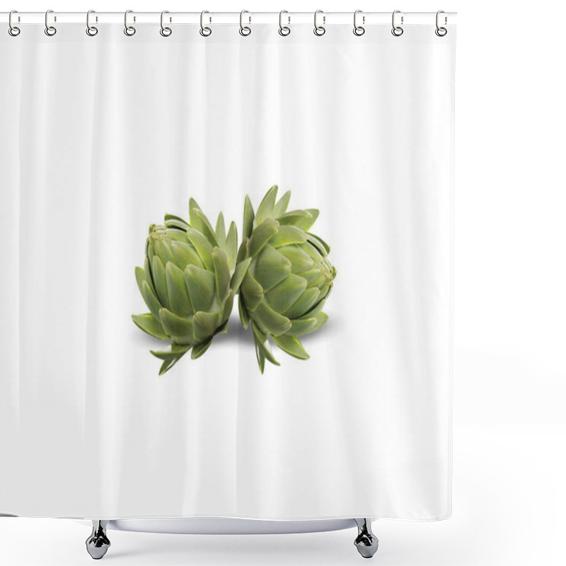 Personality  Globe Artichoke Or Cynara Cardunculus Fruits On Isolated White Background Shower Curtains