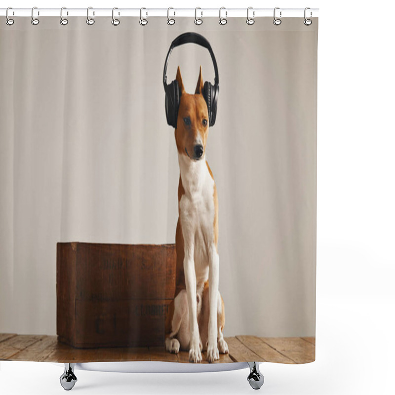 Personality  Happy Basenji Dog Wearing Headphones Shower Curtains