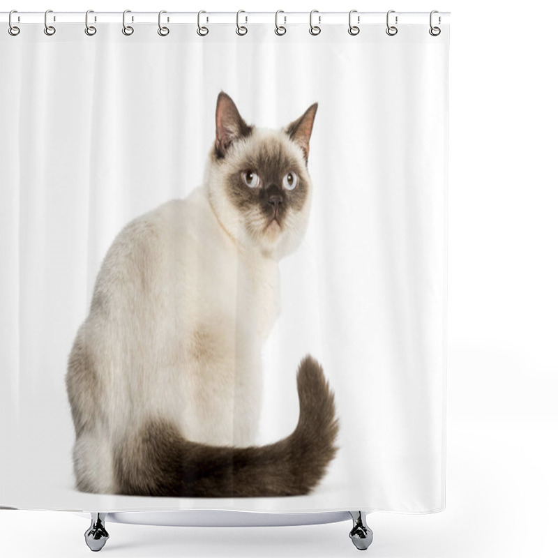 Personality  Crossed Cat Sitting In Front Of White Background Shower Curtains