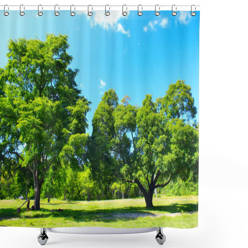 Personality  Trees Shower Curtains