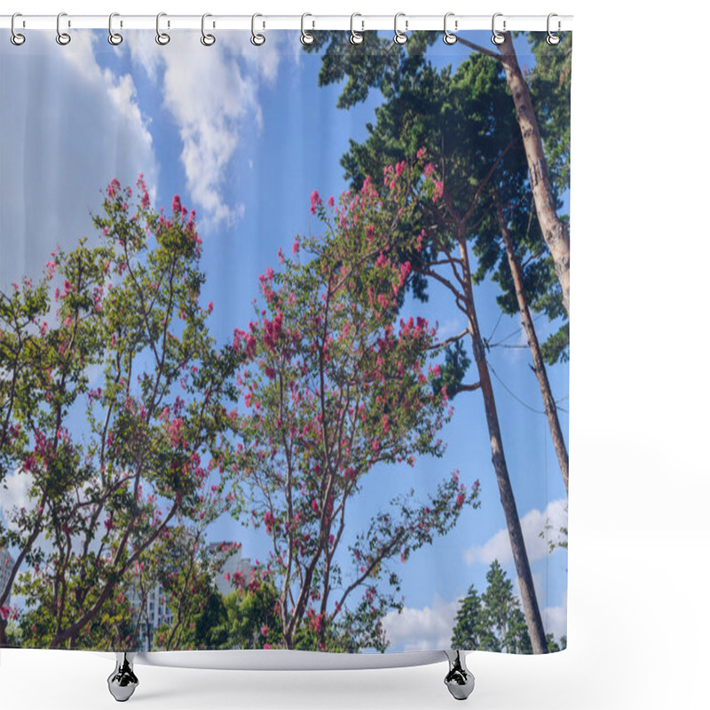 Personality  Blooming At Autumn Pink Crape Myrtle In Busan Citizens Park Shower Curtains