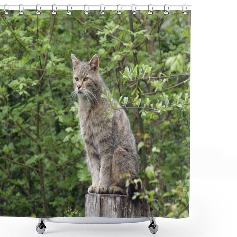 Personality  Wildcat In Natural Ambiance Shower Curtains