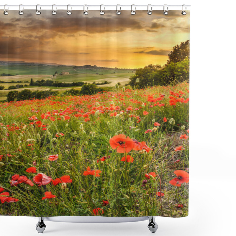 Personality  Poppies In The Tuscan Hills With A Beautiful Sunset, Pienza, Ita Shower Curtains