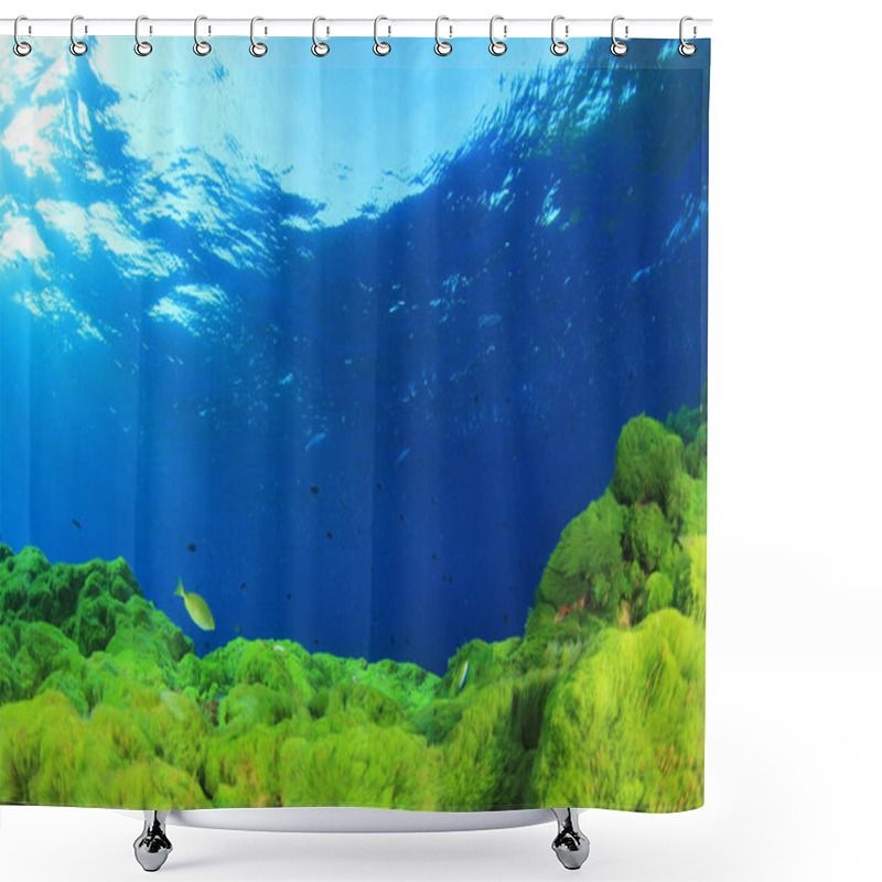 Personality  Marine Inhabitants With Underwater Scene In Deep Blue Ocean Shower Curtains