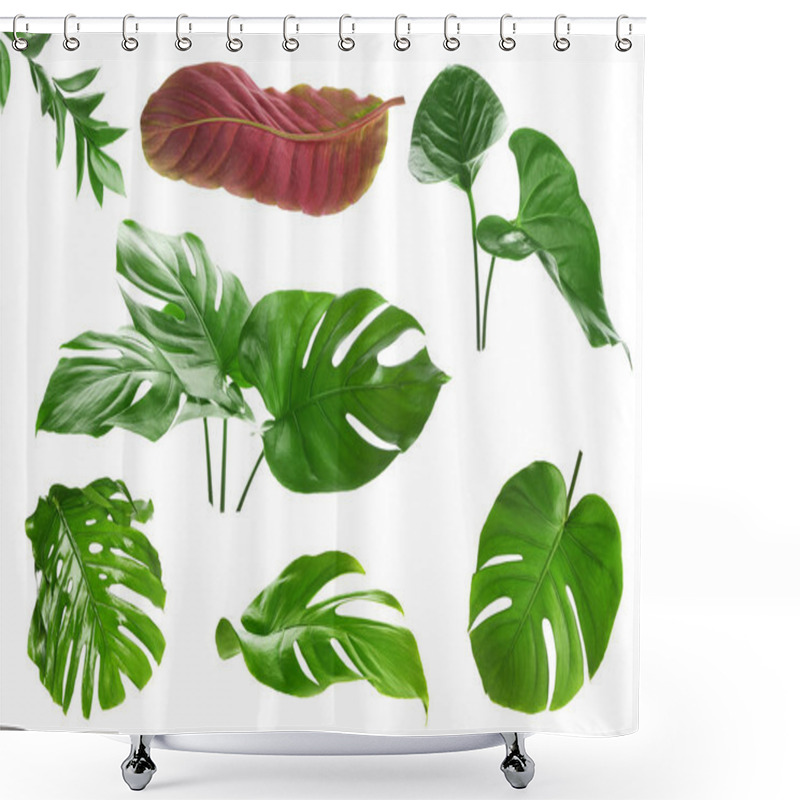 Personality  Different Tropical Leaves On White Background Shower Curtains