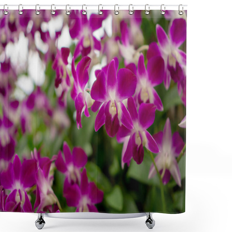 Personality  Bunches Of Pink Petals Dendrobium Hybrid Orchid Blossom On Dark Green Leaves Blurry Background  Shower Curtains