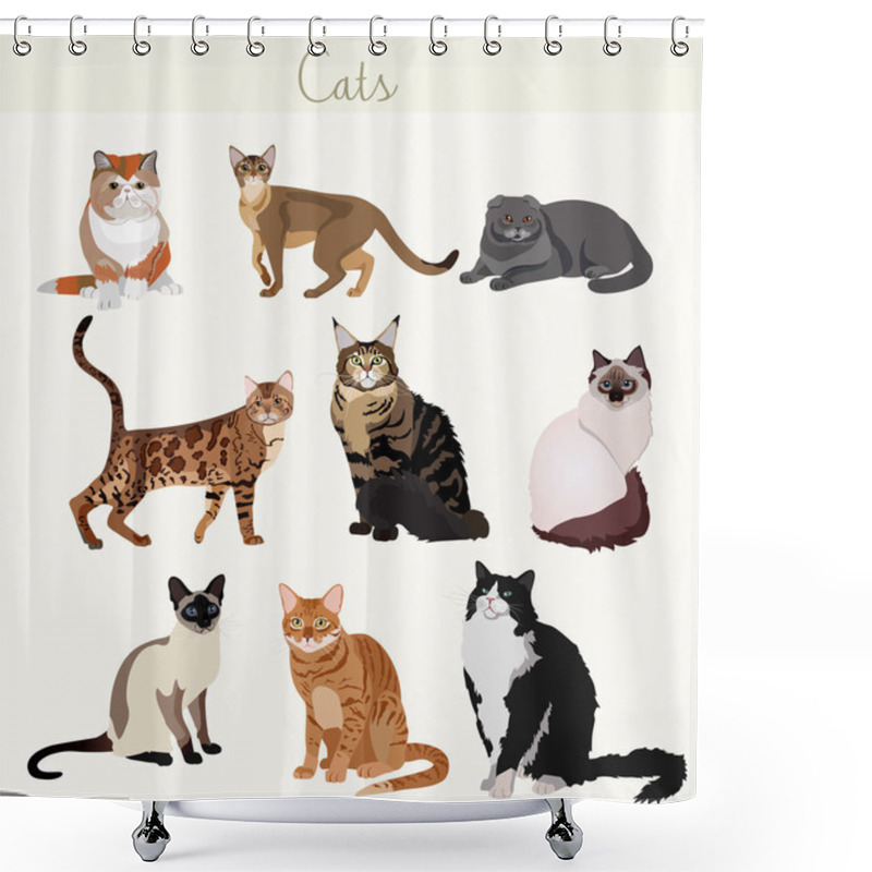 Personality  Vector Breed Cats In Different Poses. Cartoon Highly Detailed Pets. Shower Curtains