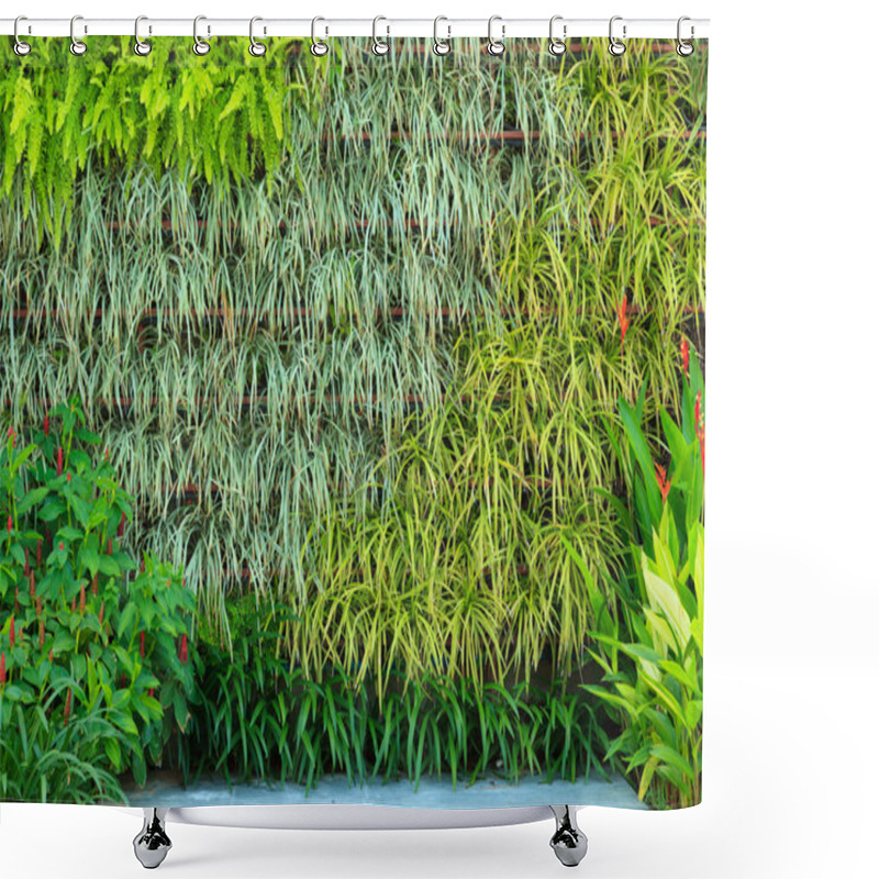 Personality  Vertical Garden Shower Curtains