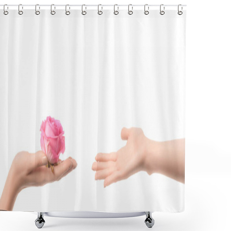 Personality  Partial View Of Woman Handing Pink Rose Flower To Someone Isolated On White  Shower Curtains