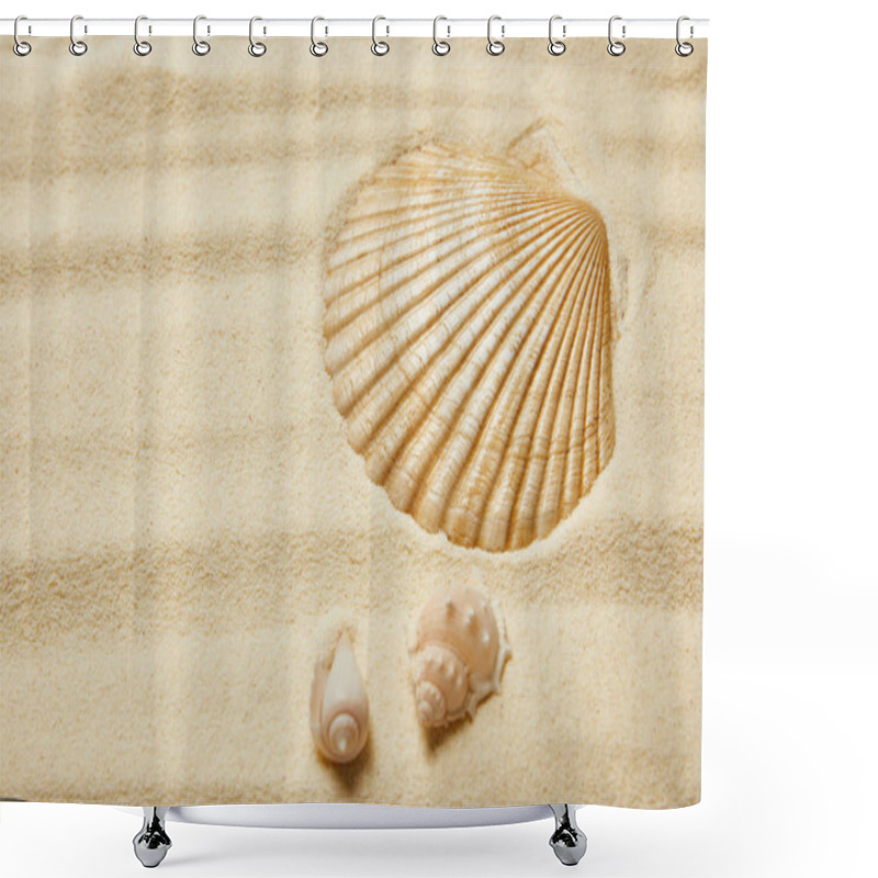 Personality  Selective Focus Of Seashells On Sandy Beach In Summertime  Shower Curtains