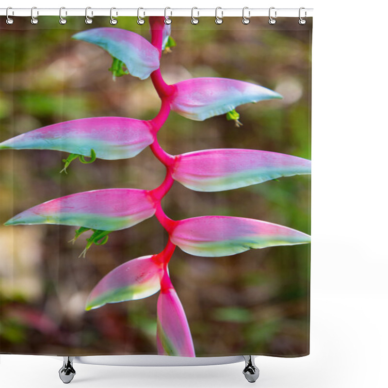 Personality  Heliconia Rostrata In The Garden Shower Curtains