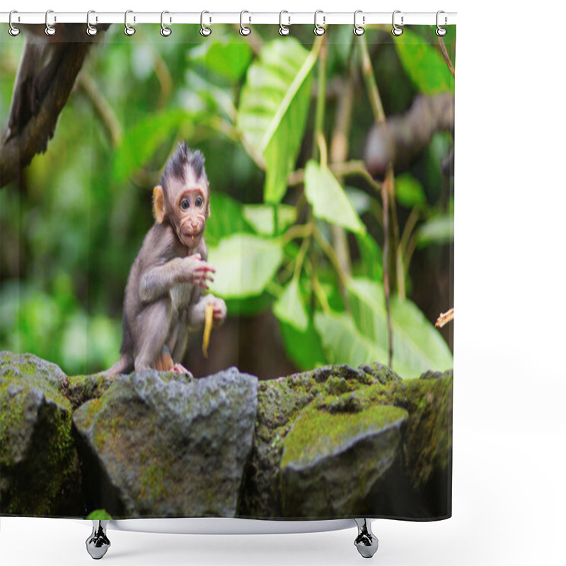 Personality  Little Baby-monkey In Sacred Monkey Forest Of Ubud Shower Curtains