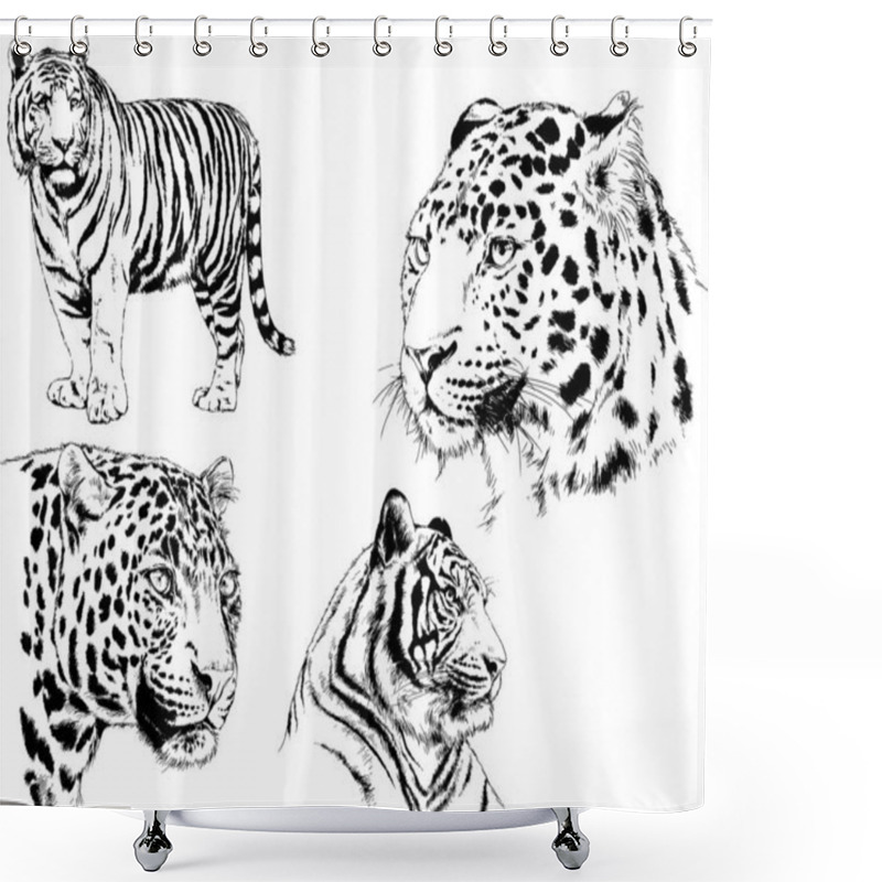 Personality  Set Of Vector Drawings On The Theme Of Predators Tigers Are Drawn By Hand With Ink Tattoo Logos Shower Curtains