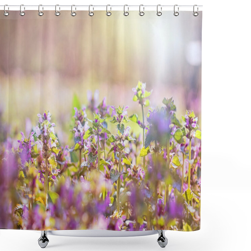 Personality  Flowering Purple Meadow Flowers In Spring Shower Curtains